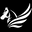 Black Asus™ logo